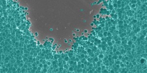 Beitragsbild des Blogbeitrags Scientists Accidentally Create Mutant Enzyme that Eats Plastic