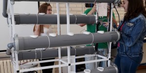 Beitragsbild des Blogbeitrags Smart hydroponic assembly made with Arduino Mega
