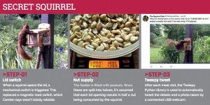 Beitragsbild des Blogbeitrags Prepare yourself for winter with the help of squirrels