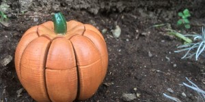 Beitragsbild des Blogbeitrags Weekend Project: 3D Print a Creepy-Crawling Halloween Pumpkin Spider Transformer