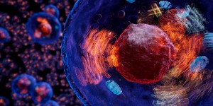 Beitragsbild des Blogbeitrags Discover the First VR Experience for the Nobel Prize in Physiology or Medicine with the Launch of The Circadian Rhythm on Viveport
