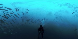 Beitragsbild des Blogbeitrags Mit PSVR die Geheimnisse des Ozeans erforschen 