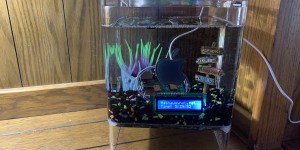 Beitragsbild des Blogbeitrags Raspberry Pi mineral oil tank with added pizzazz 