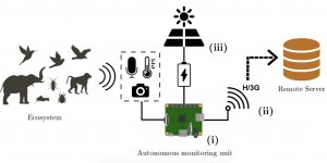 Beitragsbild des Blogbeitrags Raspberry Pi listening posts ‘hear the Borneo rainforest