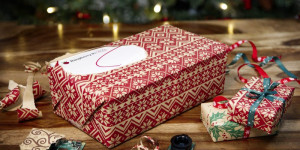 Beitragsbild des Blogbeitrags Merry Christmas to all Raspberry Pi recipients — help is here!