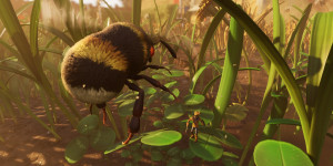 Beitragsbild des Blogbeitrags Grounded Insects Take Flight