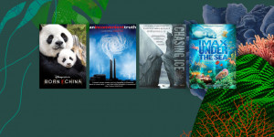 Beitragsbild des Blogbeitrags Team Xbox Celebrates Earth Day: Heres How You Can Get Involved