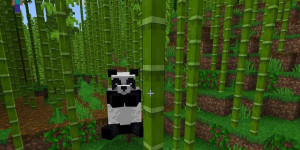 Beitragsbild des Blogbeitrags Minecraft Seeds 2021 – Diese Welten solltet ihr unbedingt besuchen