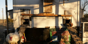 Beitragsbild des Blogbeitrags This DIY coop controller makes caring for chickens a much easier task