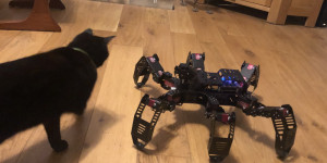 Beitragsbild des Blogbeitrags Hiwonder SpiderPi robot review