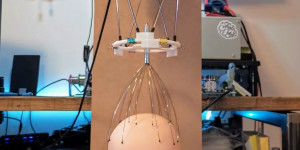 Beitragsbild des Blogbeitrags Over-engineered robotic scalp scratcher knows all the moves