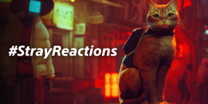 Beitragsbild des Blogbeitrags Announcing Stray Reactions, a pet-loving photo event supporting the ASPCA® 