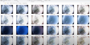 Beitragsbild des Blogbeitrags Observing trees through the seasons with ForestryPi