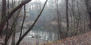 Beitragsbild des Blogbeitrags Unsere erste Stadtwanderung in Wien