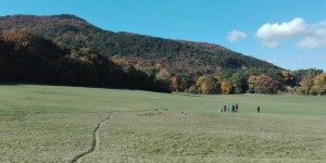 Beitragsbild des Blogbeitrags Über den Anninger wandern – Von Mödling nach Baden