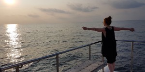 Beitragsbild des Blogbeitrags Whale watching