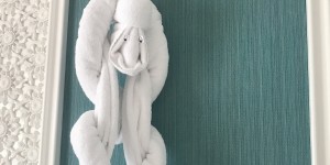 Beitragsbild des Blogbeitrags Der Wow Effekt