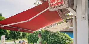 Beitragsbild des Blogbeitrags Meine Zukunft mit dem Paletten Peter..