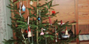 Beitragsbild des Blogbeitrags Ich kann nicht Christbaum kaufen ….