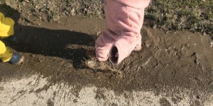 Beitragsbild des Blogbeitrags 12 von 12: hupf in gatsch und schlog a wölln 