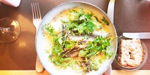 Beitragsbild des Blogbeitrags the dinner project: kw 15 