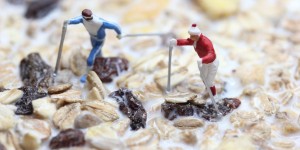 Beitragsbild des Blogbeitrags Foodies im Kulturdschungel 
