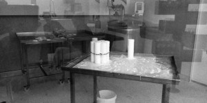 Beitragsbild des Blogbeitrags Frisch ans Werk in Wiens erster Stadtkäserei