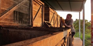 Beitragsbild des Blogbeitrags “La parte humana del chocolate”