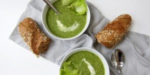Beitragsbild des Blogbeitrags 9 frische Ideen für welkenden Blattsalat