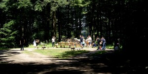 Beitragsbild des Blogbeitrags Wildkräuter(ver)sammlung