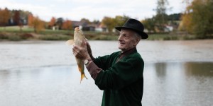Beitragsbild des Blogbeitrags Für die Fisch!