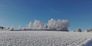Beitragsbild des Blogbeitrags Sein Geschäft verrichten: Gesundheitshotel Bad Traunstein