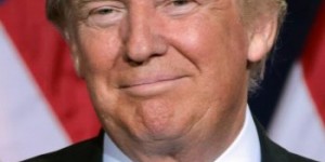 Beitragsbild des Blogbeitrags Trumpets of Glory