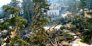 Beitragsbild des Blogbeitrags Wiener Bauen in Rot – Erster Teil der Semiosis-Serie 