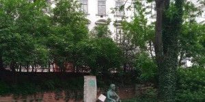 Beitragsbild des Blogbeitrags Ein Fisch beginnt am Kopf zu stinken (Teil eins)