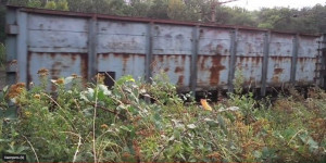 Beitragsbild des Blogbeitrags Die dubiosen Wege der Kohle