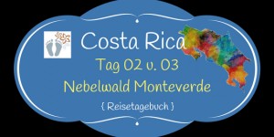 Beitragsbild des Blogbeitrags Costa Rica: Tag 02 und 03: Wanderung und Hängebrücken-Tour im Nebelwald Monteverde sowie Besuch des Orchideengartens