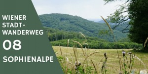 Beitragsbild des Blogbeitrags Wandern in Wien: Stadtwanderweg 08 – Sophienalpe
