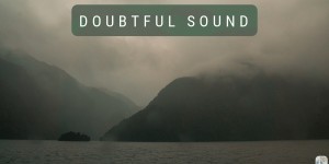 Beitragsbild des Blogbeitrags Doubtful Sound bei Tag und Nacht: Roadtrip durch Neuseeland mit dem Bus – Tag 13 und Tag 14 