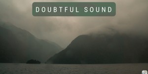 Beitragsbild des Blogbeitrags Doubtful Sound bei Tag und Nacht: Roadtrip durch Neuseeland mit dem Bus – Tag 13 und Tag 14