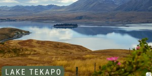 Beitragsbild des Blogbeitrags Lake Tekapo: Roadtrip durch Neuseeland mit dem Bus – Tag 21 und Tag 22 
