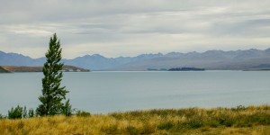 Beitragsbild des Blogbeitrags Von der Mitte der Südinsel zur Spitze nach Nelson: Roadtrip durch Neuseeland mit dem Bus – Tag 23 