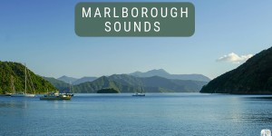 Beitragsbild des Blogbeitrags Marlborough Sounds – Queen Charlotte Track: Roadtrip durch Neuseeland mit dem Bus – Tag 26 und Tag 27