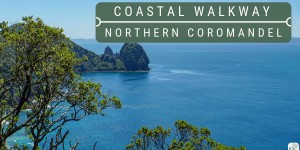 Beitragsbild des Blogbeitrags fantastische Küstenwanderung auf der Coromandel Peninsula: Roadtrip durch Neuseeland mit dem Bus – Tag 41 bis Tag 43
