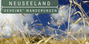 Beitragsbild des Blogbeitrags Kennst Du diese Wanderungen in Neuseeland?