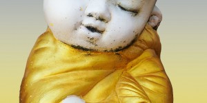 Beitragsbild des Blogbeitrags Herzerwärmende Momente mit Elefanten und anderen geretteten Tieren (Thailand als Alleinreisende ohne Roller entdecken)