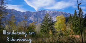 Beitragsbild des Blogbeitrags Wanderung in Wien-Umgebung: Den Schneeberg am „Tag des Wanderns“ entdecken 