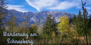 Beitragsbild des Blogbeitrags Wanderung in Wien-Umgebung: Den Schneeberg am „Tag des Wanderns“ entdecken