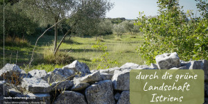 Beitragsbild des Blogbeitrags Im Inneren des grünen Istriens: Bale-Valle| Kroatien ohne Auto 