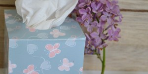 Beitragsbild des Blogbeitrags Mini-Taschentuchbox für berührende Konzerte 